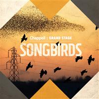 Songbirds