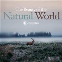 The Beauty of the  Natural World