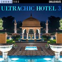 Ultra Chic Hotel 3