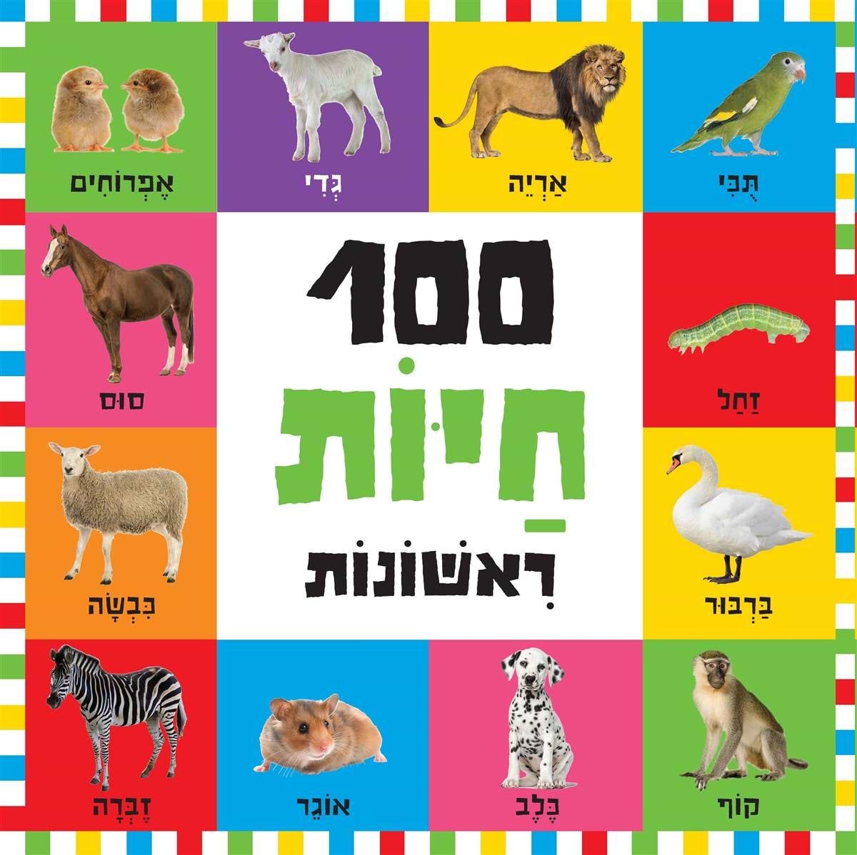 100 חיות ראשונות - בינוני