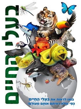 בעלי החיים - סדרת מידע