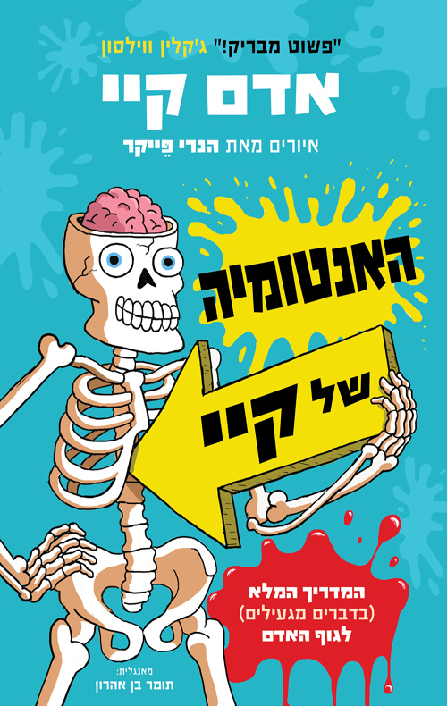 האנטומיה של קיי