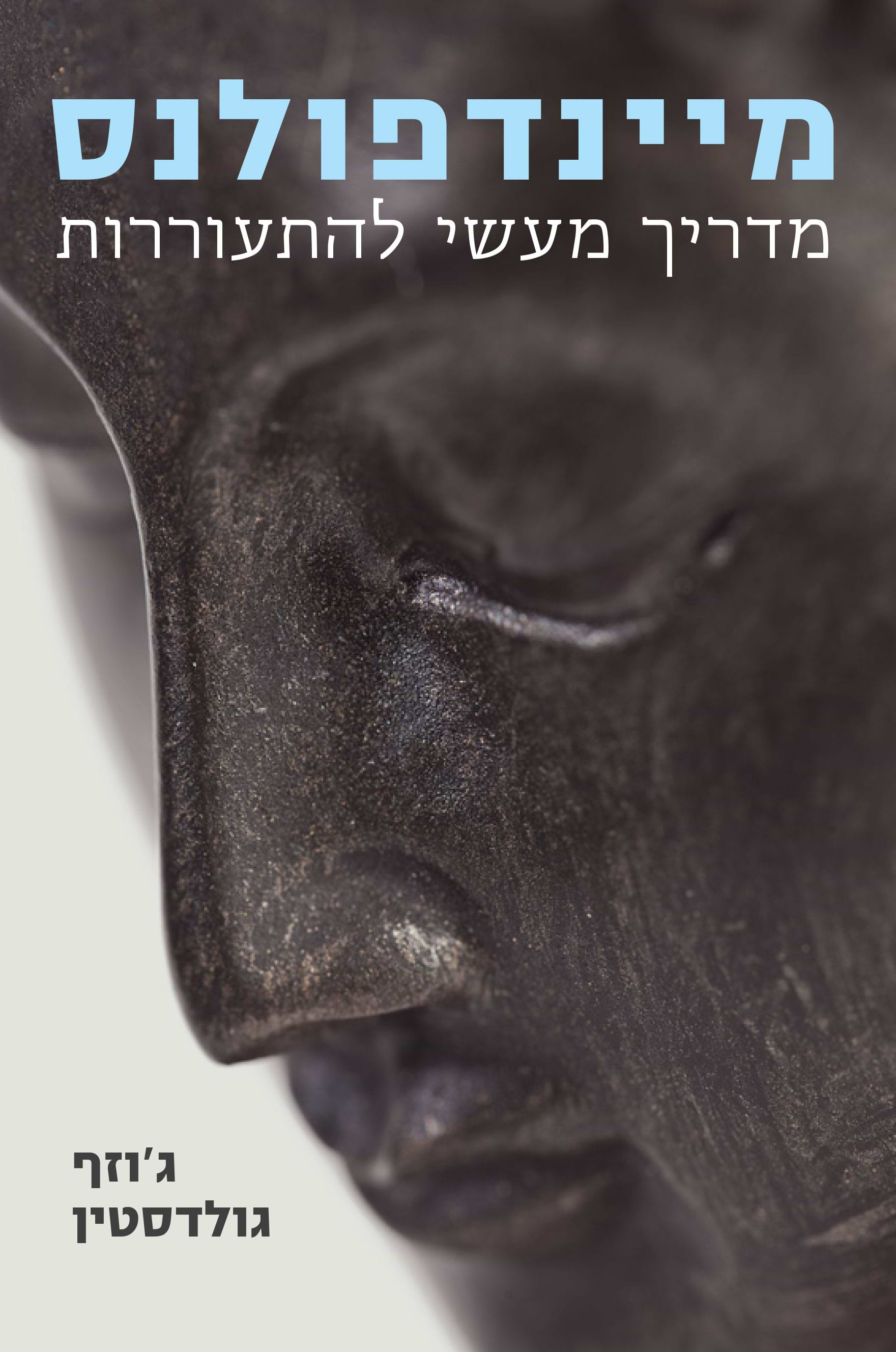 מיינדפולנס מדריך מעשי להתעוררות