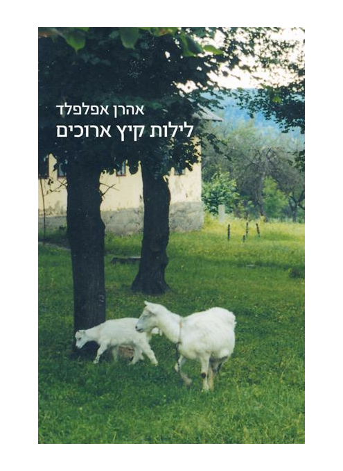 לילות קיץ ארוכים