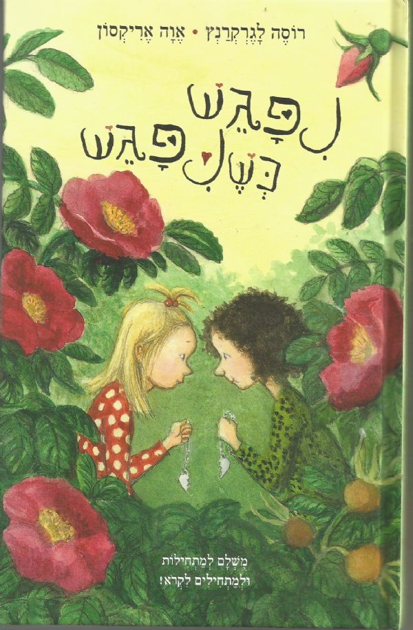 נפגש כשנפגש