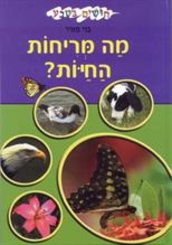 חושים בטבע-מה מריחות החיות?