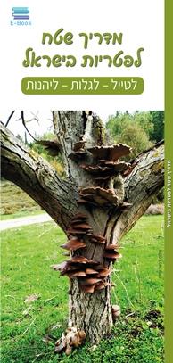 מדריך שטח לפטריות בישראל