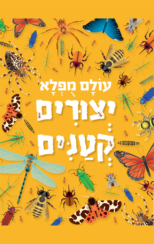 עולם מופלא - יצורים קטנים