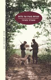 הנרות בערו עד כלות