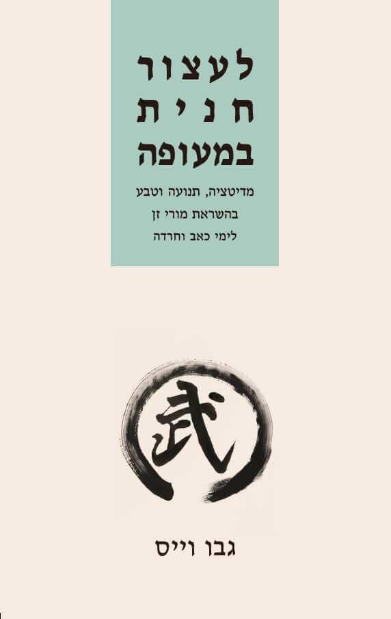 לעצור חנית במעופה