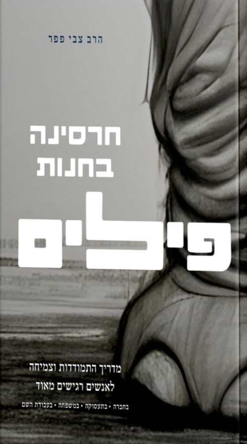 חרסינה בחנות פילים