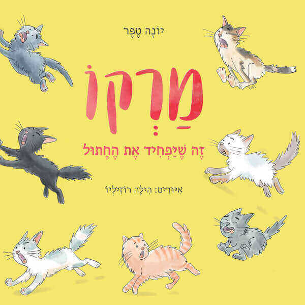 מרקו זה שיפחיד את החתול
