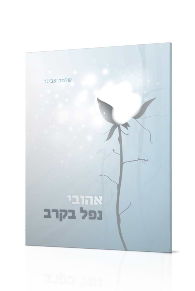 אהובי נפל בקרב