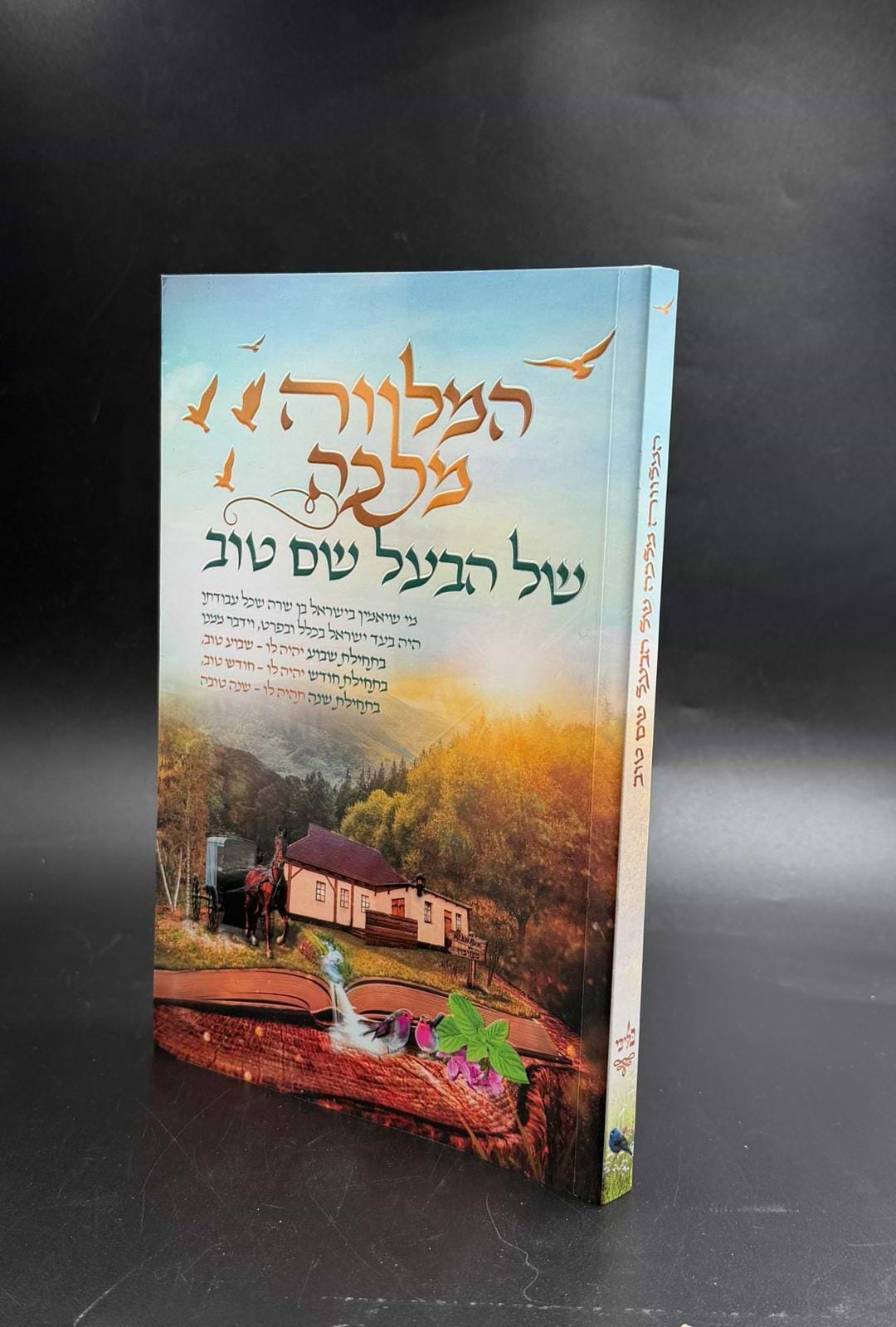 המלווה מלכה של הבעל שם כריכה רכה