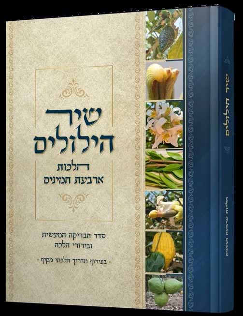 שיר הילולים