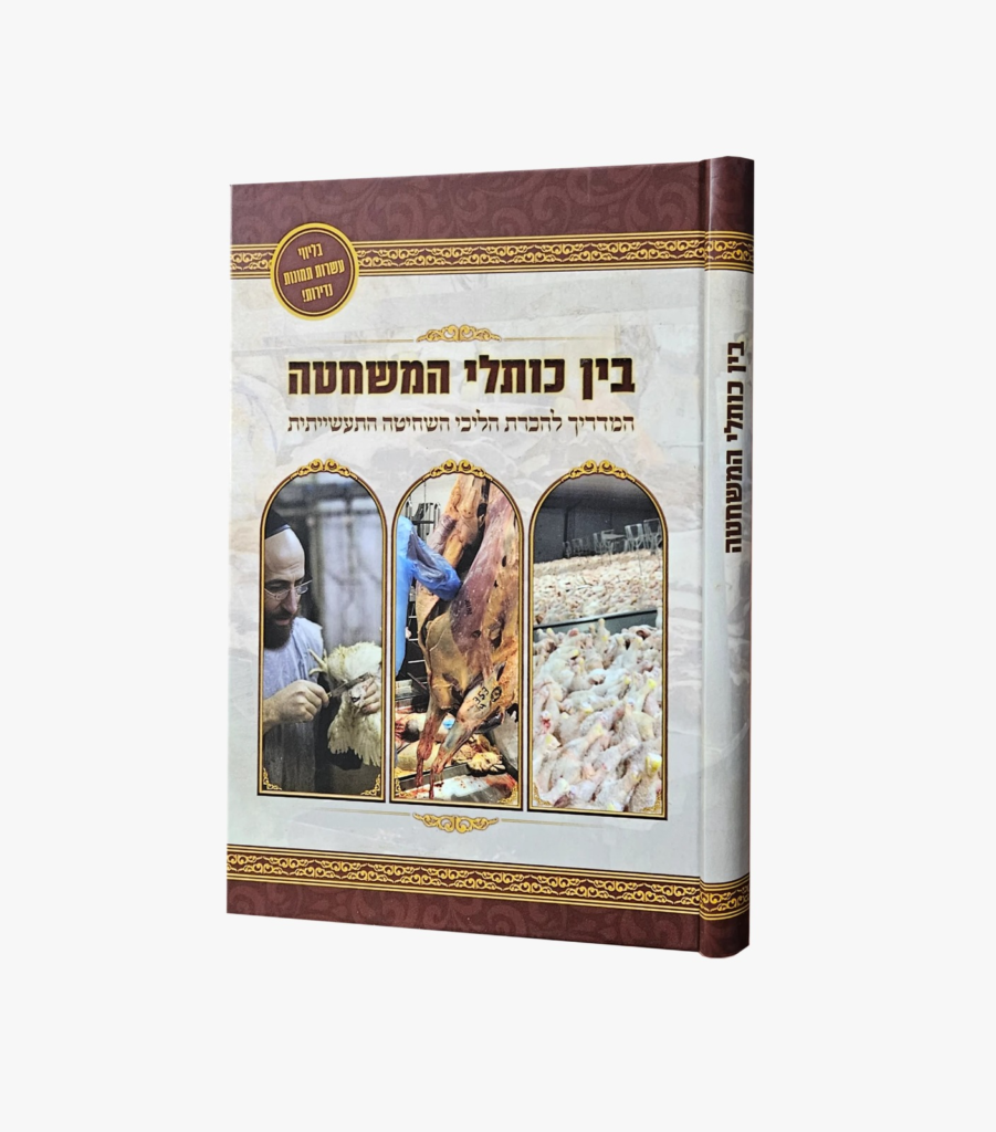 בין כותלי המשחטה