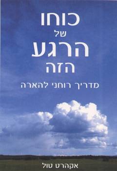 כוחו של הרגע הזה - מדריך רוחני להארה