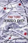 ימים בסערה