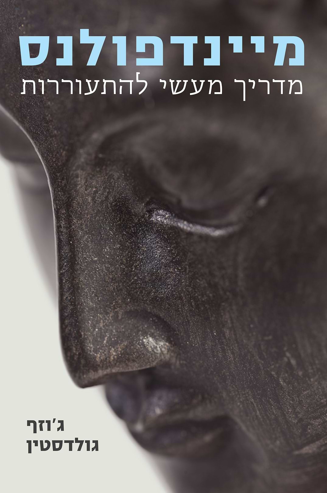 מיינדפולנס מדריך מעשי להתעוררות