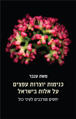 כנימות יוצרות עפצים על אלות בישראל