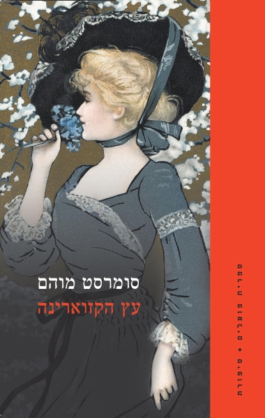 עץ הקזוארינה