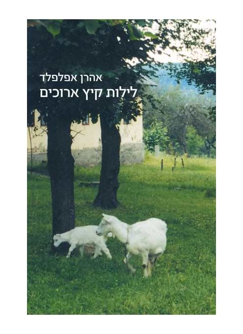 לילות קיץ ארוכים