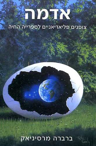 אדמה
