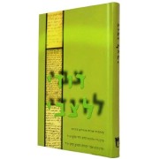 דודי לצבי