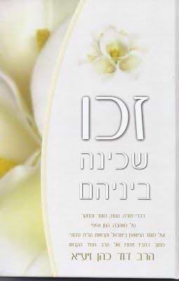 זכו שכינה ביניהם