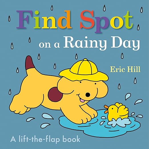 Find Spot on a Rainy Day: