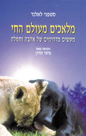 מלאכים מעולם החי