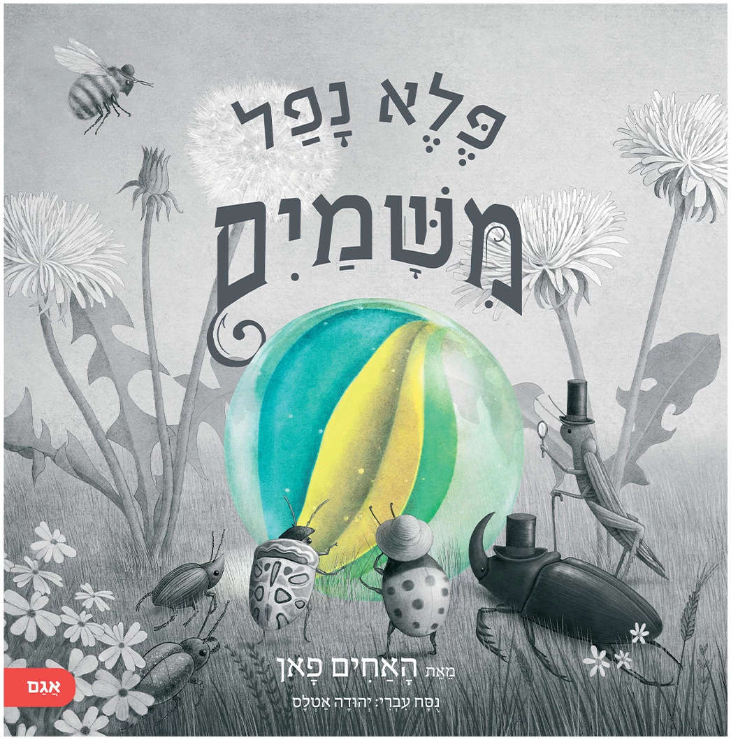 פלא נפל משמים