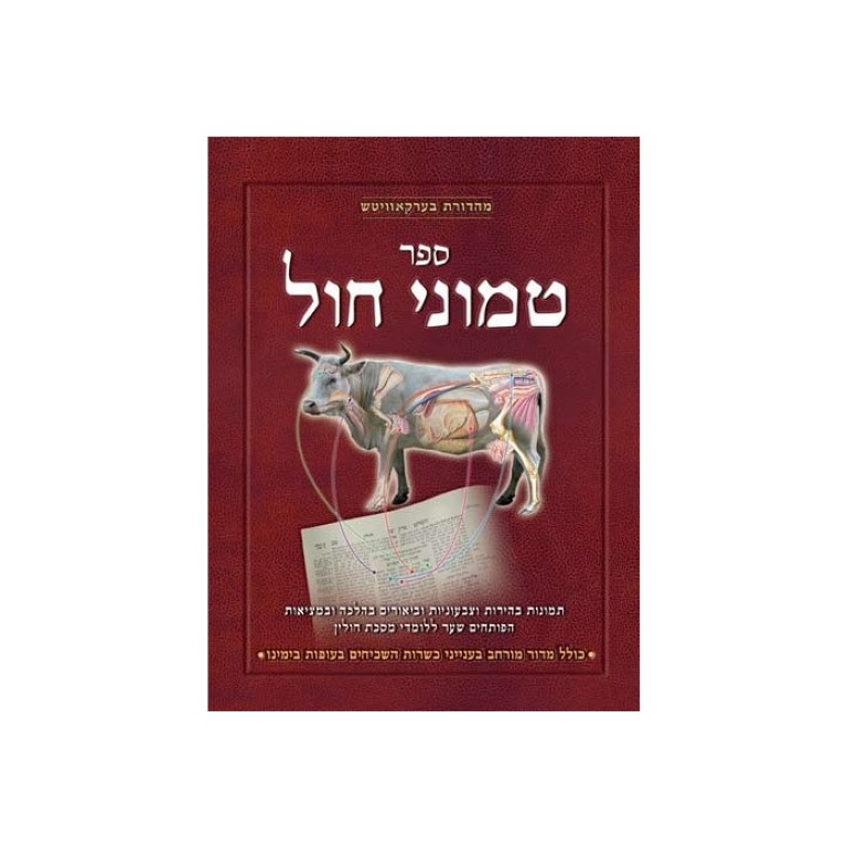 מראות חולין