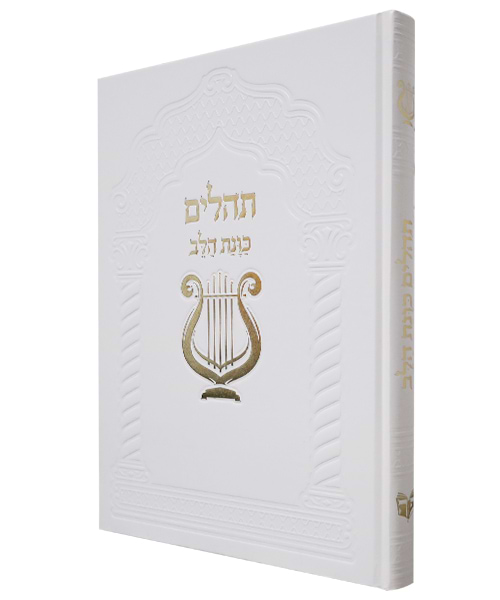 תהלים סקאי כוונת הלב ענק 30*22