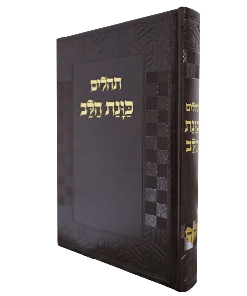 תהלים פיו כוונת הלב גדול 21*14