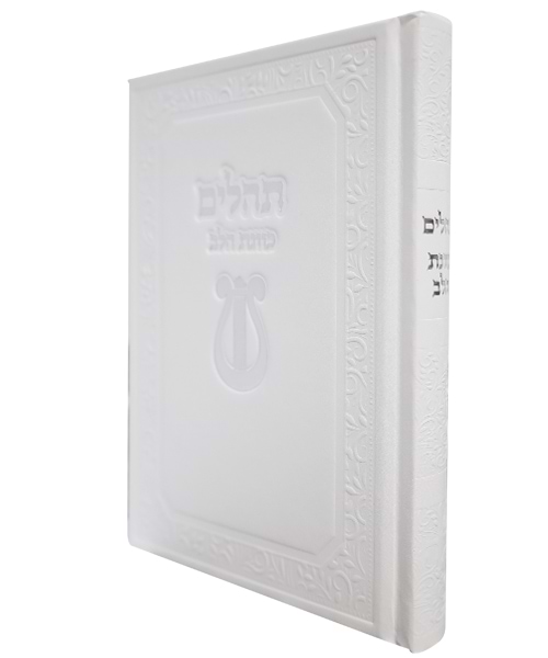 תהלים סקאי כוונת הלב 12*17