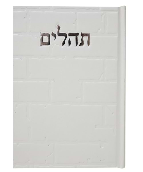 תהלים סקאי בינת הלב כותל 12*17