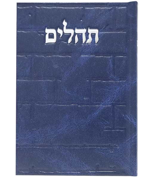 תהלים סקאי בינת הלב כותל 12*17