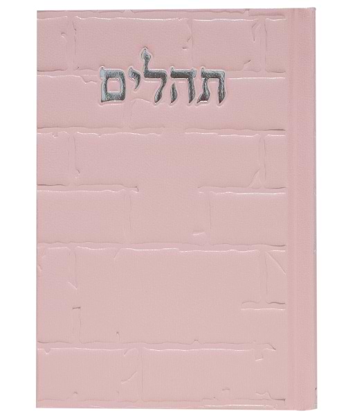 תהלים סקאי בינת הלב כותל 12*17