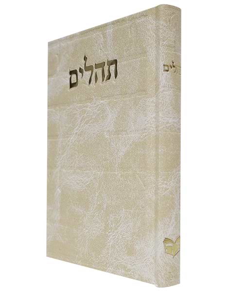 תהלים סקאי בינת הלב כותל 12*17