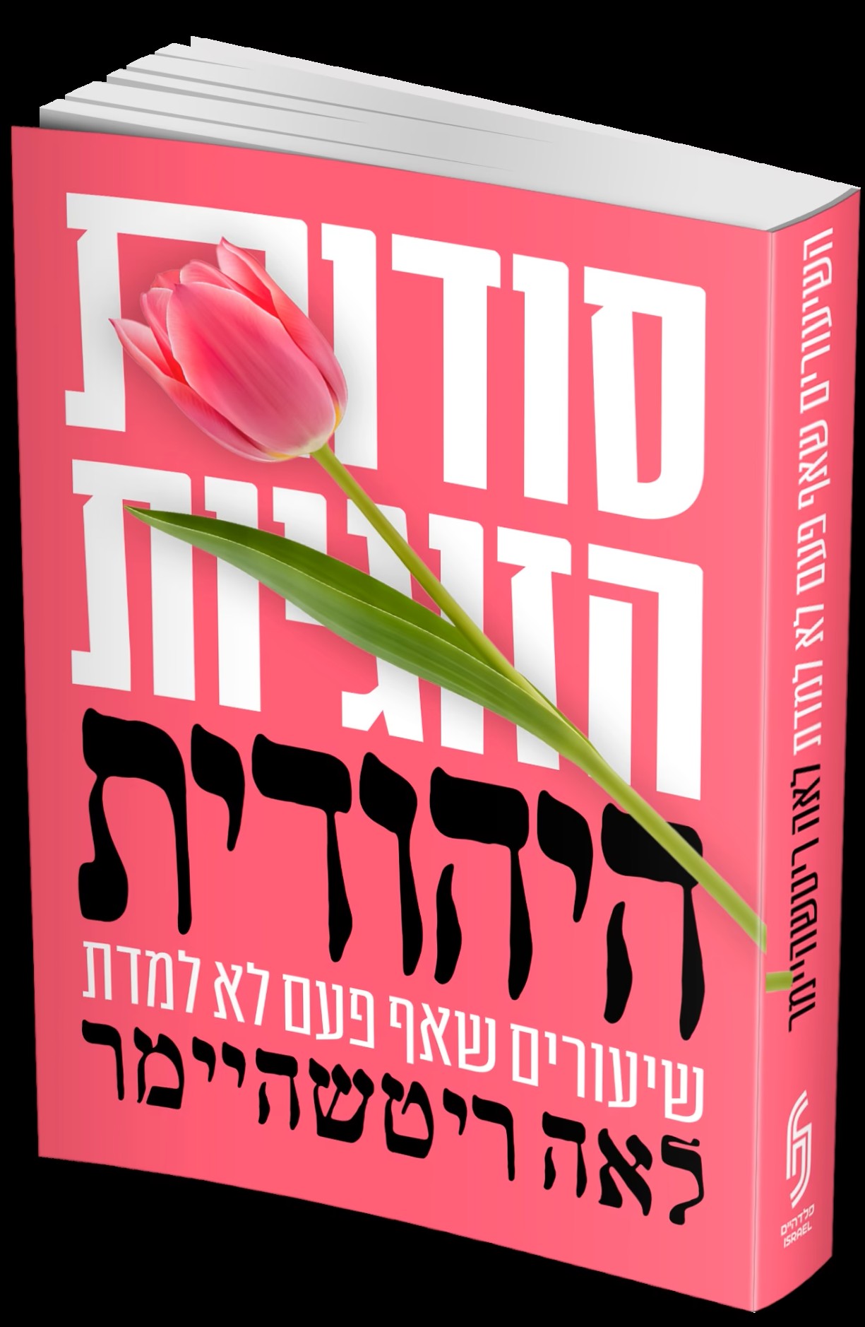 סודות הזוגיות היהודית