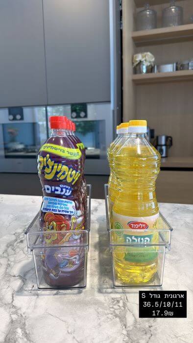 ארגונית 36.5/10/11 ס