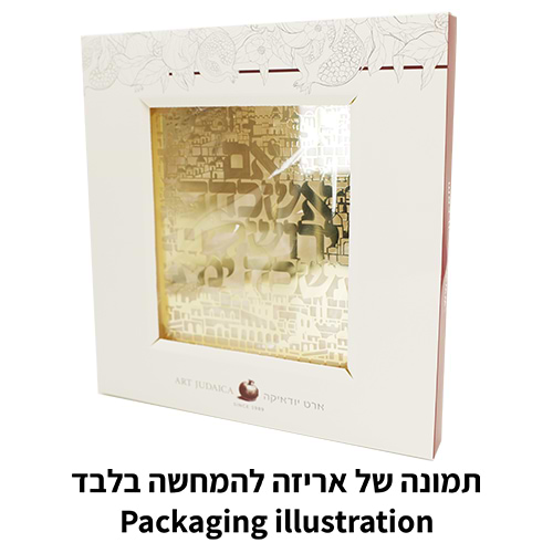 מסגרת אקריליק מהודרת עם פלקטה 23x24 ס