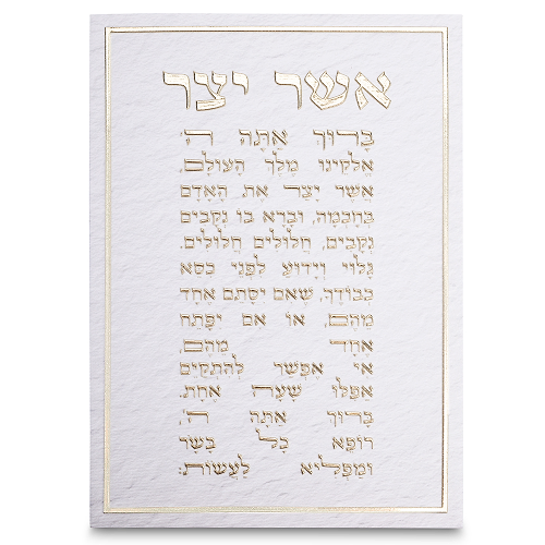 תמונת קנווס 