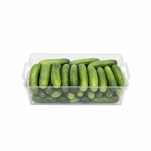 ארגונית קלייר  37/10/21 ס