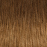 Dark Bronde Ombre