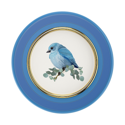 Secondary image for hover Enamel Blue Bird — MagSafe PopGrip