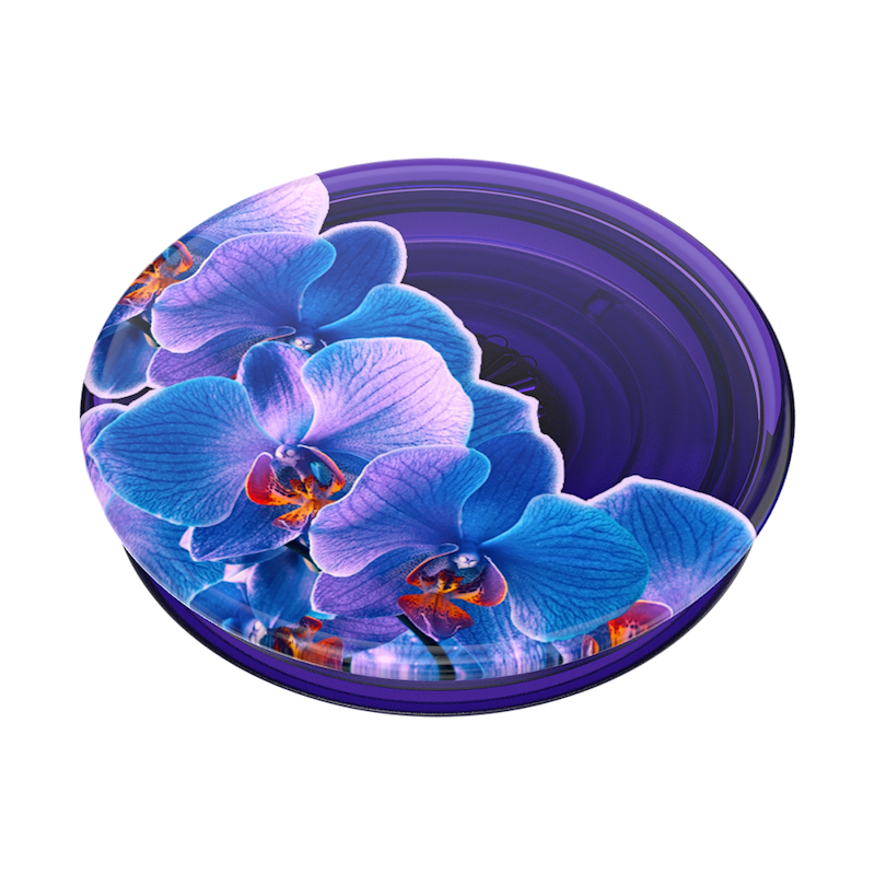 Translucent Dark Orchid &mdash; Adhesive PopGrip image number 2