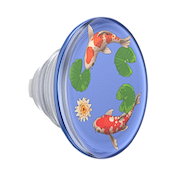Koi Pond &mdash; PopTop image number 1