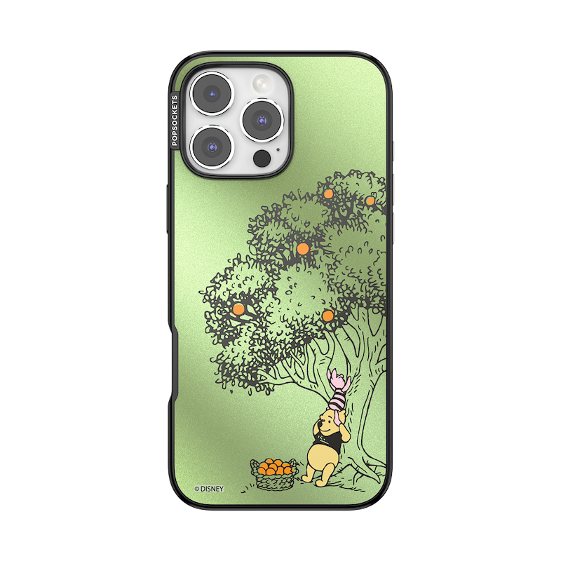 100 Acre Wood &mdash; iPhone 16 Pro Max MagSafe Case image number 0